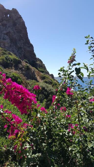 NebidaTanca Piras - Emozioni A Strapiombo Sul Mare!!!别墅 外观 照片